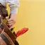 Handyman repair service in Duluth, MN for home fixes and improvements